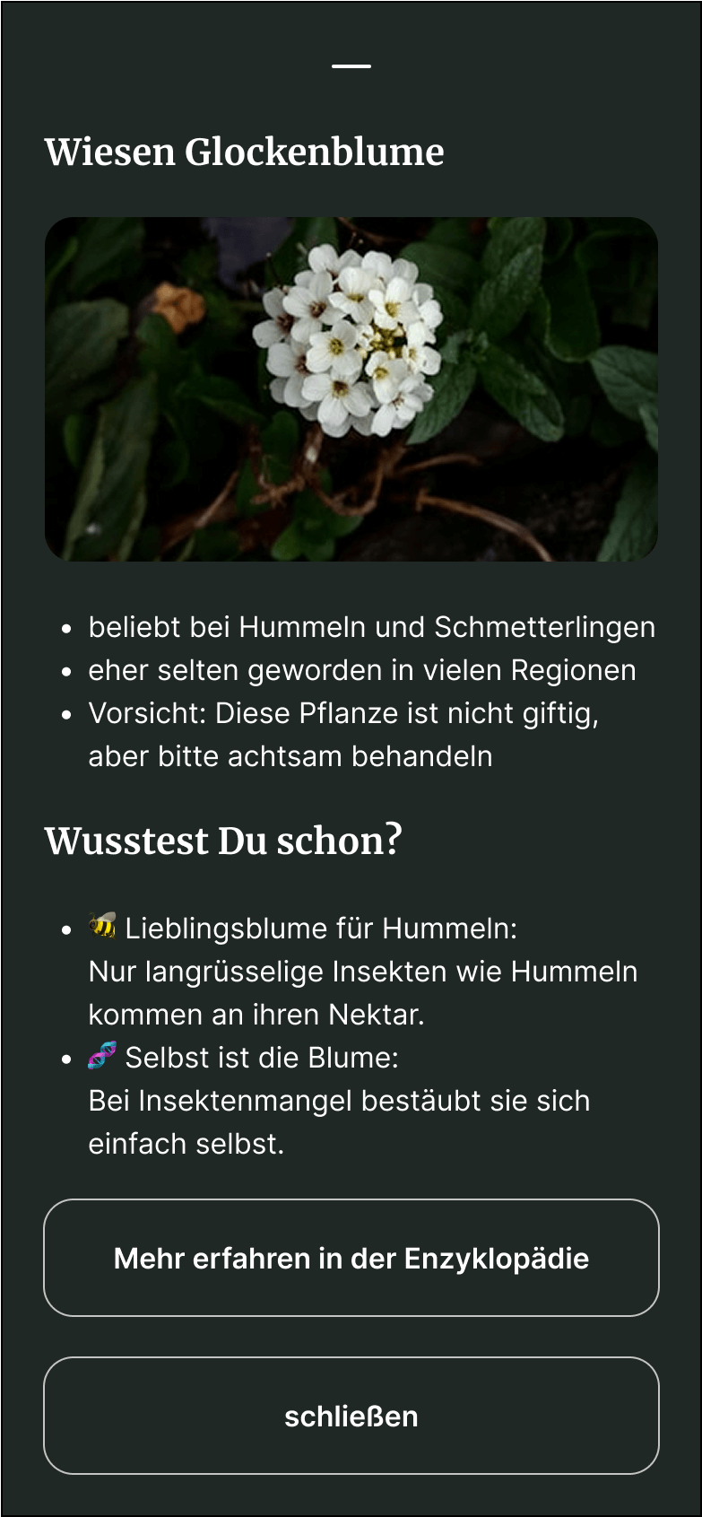 Button Iteration Vorher 2